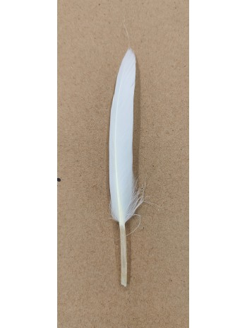 FAKE FEATHER 15 cm