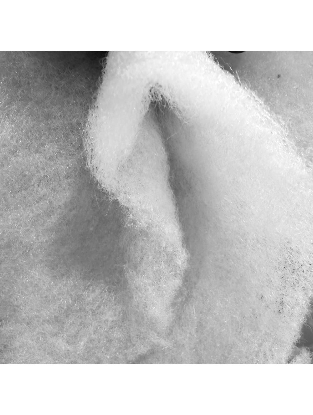 ΒΑΤΑ ΠΟΛΥΕΣΤΕΡΙΚΗ ΥΦΑΣΜΑ